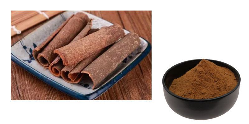 Cinnamon Extract Powder1
