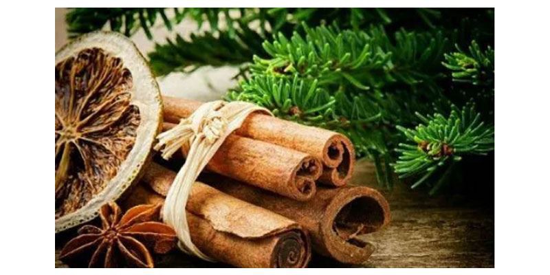 Cinnamon Extract Powder2