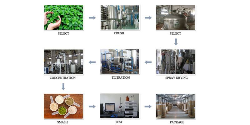 Cinnamon Extract Powder4