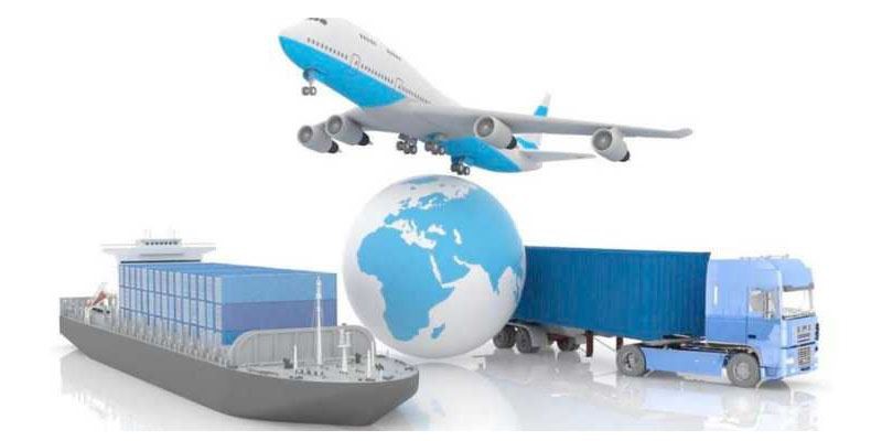 Cinnamon Extract Powder6