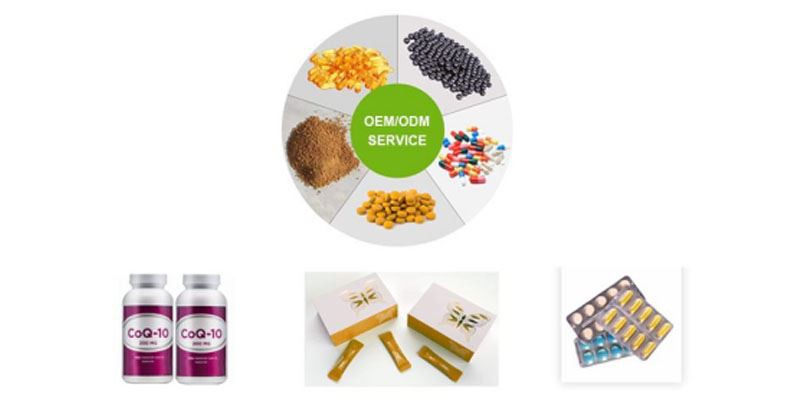 Cinnamon Extract Powder7