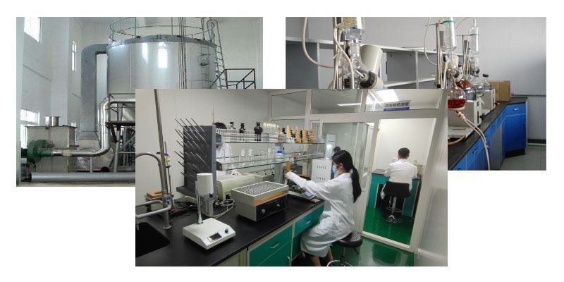 Cinnamon Extract Powder8