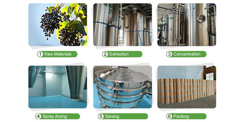 Senna Leaf Extract Powder3 Senna Leaf Extract Powder3