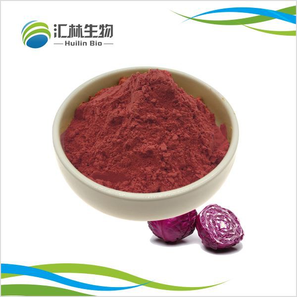 Lila kål extrakt pulver